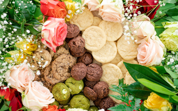 Assorted Gourmet Mini Cookie Snack Packs